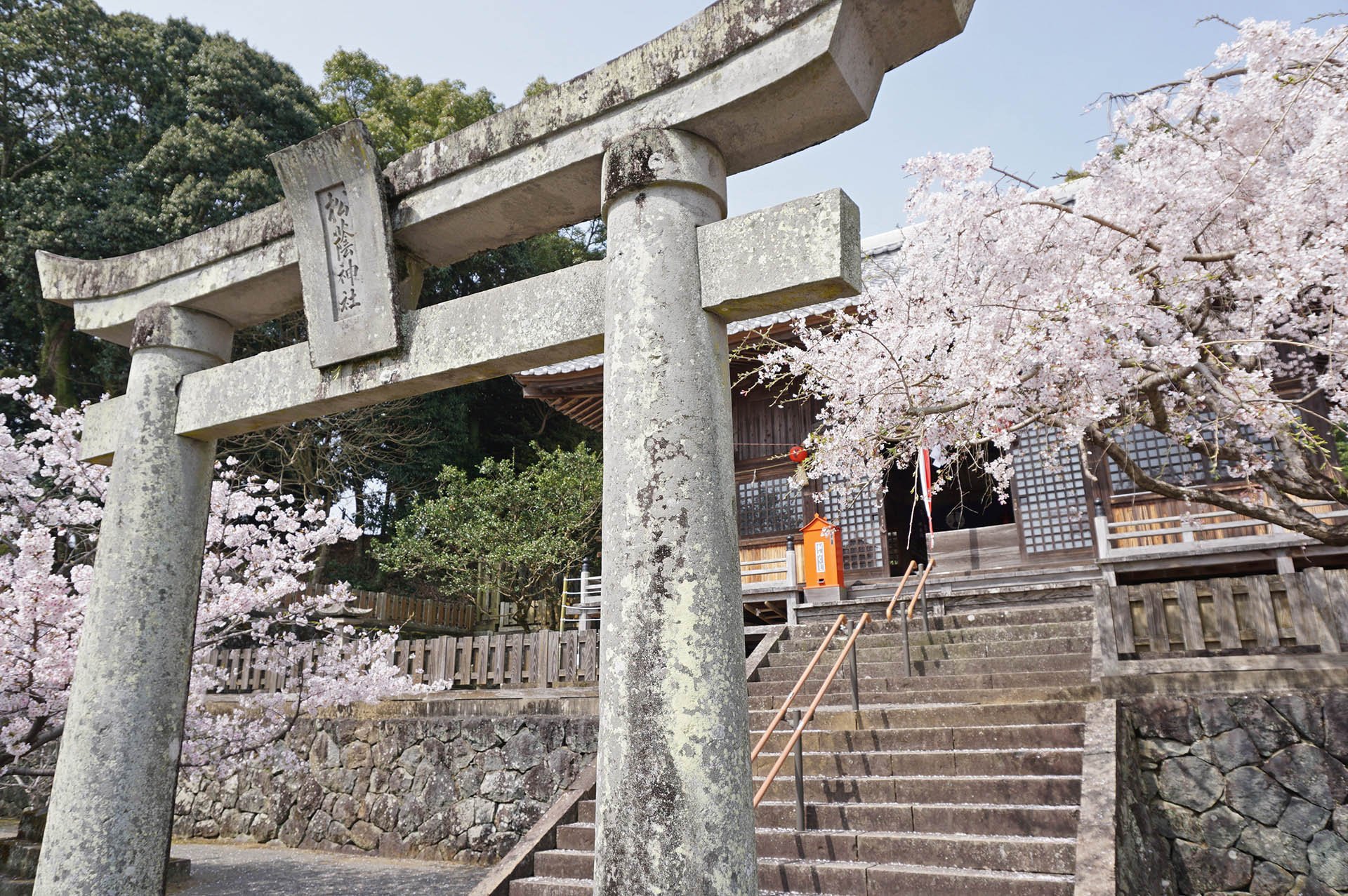 🌸 아사히가오카 공원 (Asahigaoka Park) 이미지 8